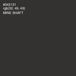#343131 - Mine Shaft Color Image